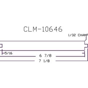 CLM 10646