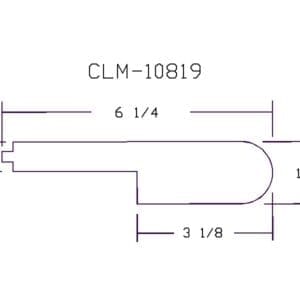 CLM 10819