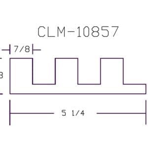 CLM 10857