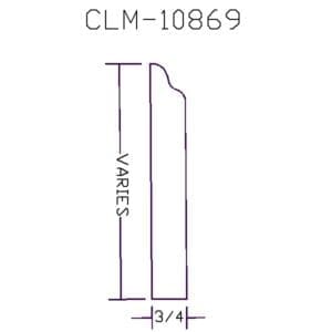 CLM 10869