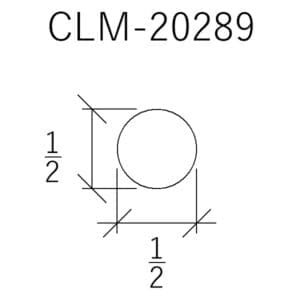 CLM 20289