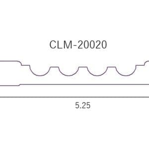 CLM 20020