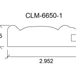 CLM 6650-1
