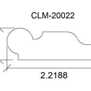 CLM 20022