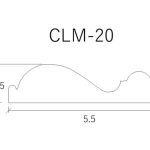 CLM 20