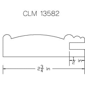 CLM 13582