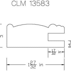 CLM 13583